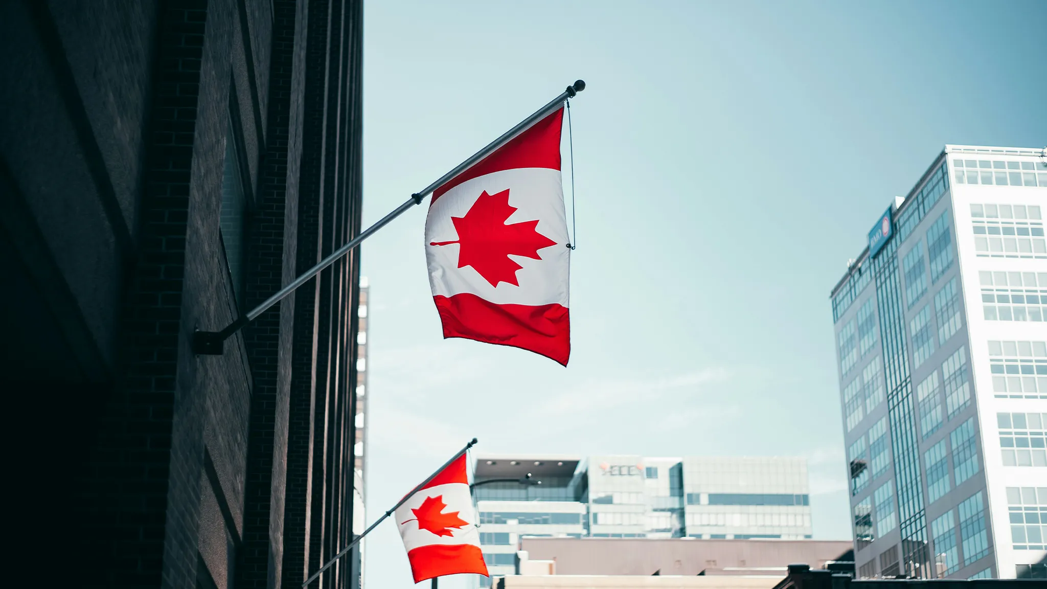 Canada Declares War on Rudeness – Launches “Operation Sorry Storm” Against U.S. (Photo by Tom Carnegie on Unsplash)