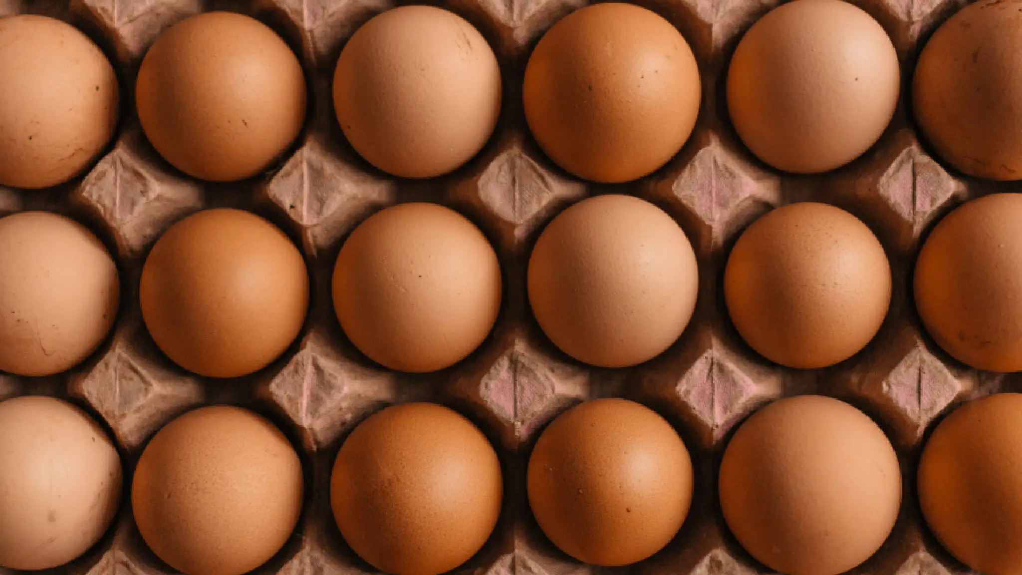 Federal Reserve Considers Backing U.S. Dollar With Eggs – ‘Gold Standard is Outdated’